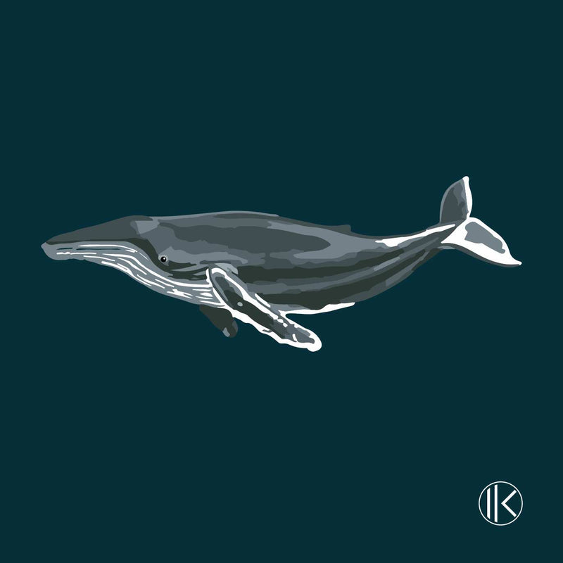 Ikon - Baleine à Bosse